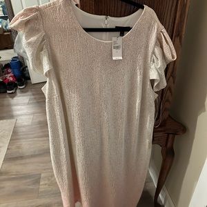 Lane Bryant dress NEVER WORN